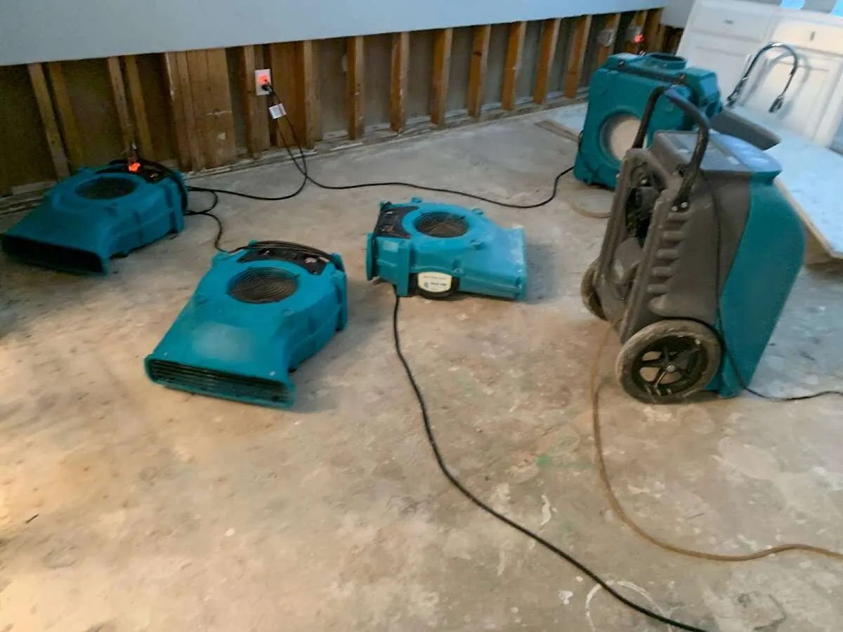 Water Damage Restoration services in Jacksonville, AL